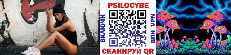 наркота  Тейково  Галлюциногенные грибы Psilocybine cubensis 
